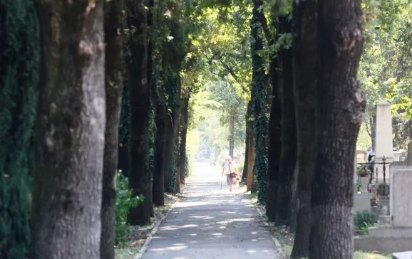 Orarul zilei de 1  noiembrie la Cimitirul Municipal