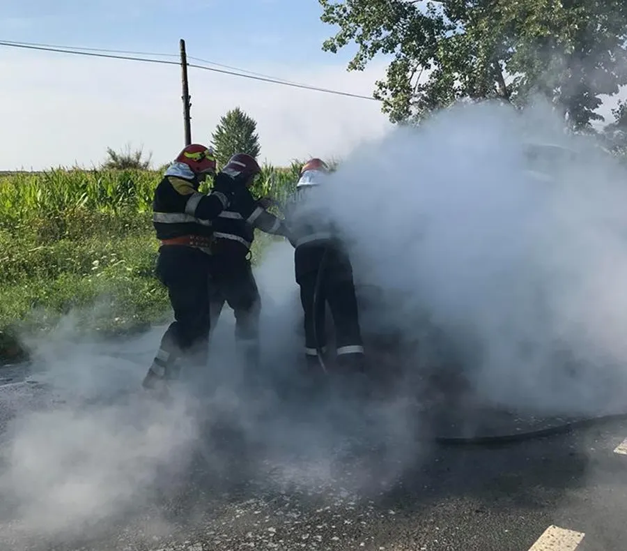 Șase operațiuni de stingere a incendiilor izbucnite pe raza a cinci localități și o misiune de salvare a unui animal