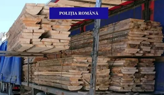 Aproape 30 metri cubi de cherestea, expediați fără documente legale de o societate bihorenă, confiscați de polițiștii Compartimentului Delicte Silvice.