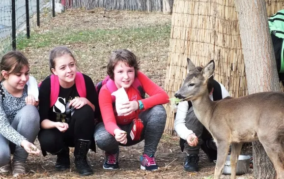Elevi în vizită la Zoo Oradea cu ocazia săptămânii Școala Altfel