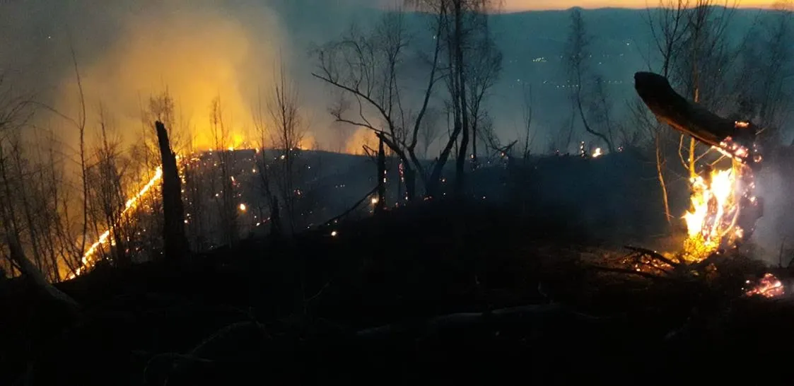 Incendii la terenuri virane și pășuni în județul Bihor