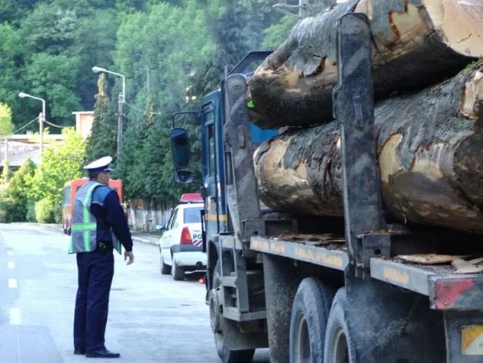 Material lemnos fără documente legale, confiscat de polițiștii bihoreni