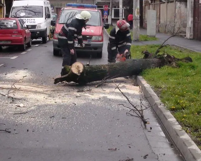 Recomandările pompierilor militari pentru evitarea situațiilor de urgență generate de vântul puternic!