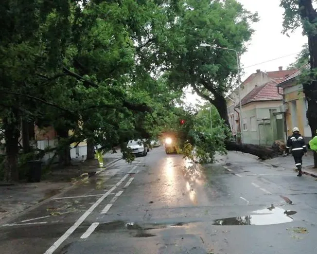 Efecte înregistrate în urma manifestării fenomenelor meteorologice avertizate prin Cod roșu la nivelul județului Bihor