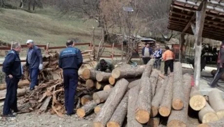 Cherestea și lemne de foc fără documente legale, confiscate de polițiștii bihoreni.