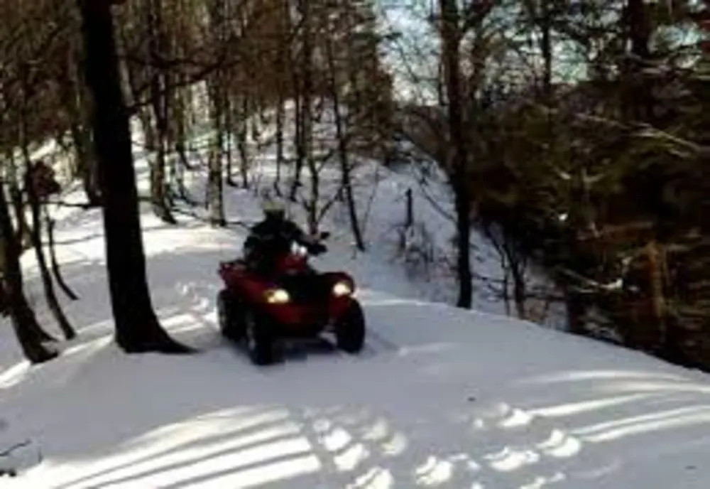 Doi tineri au aterizat cu ATV-ul în copac