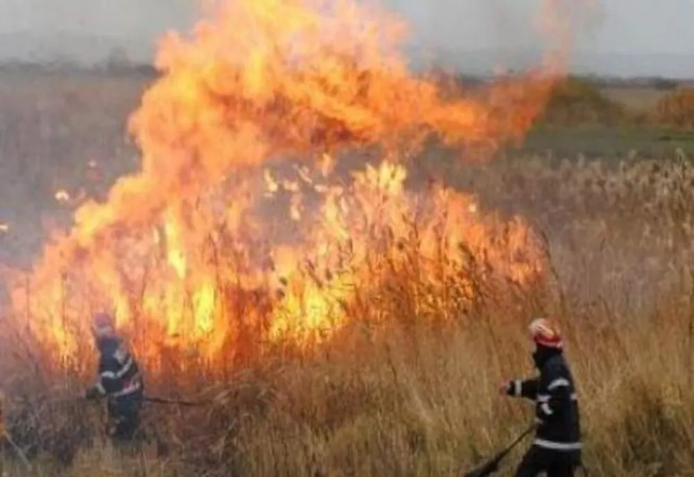 10 incendii de vegetație în 4 zile în județul Bihor