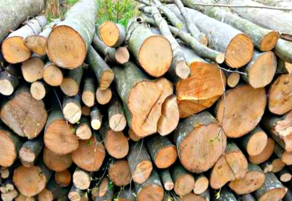 Firmă din Bihor, care a expediat lemn de foc fără documente legale, amendată cu 5.000 lei! Marfa, confiscată valoric