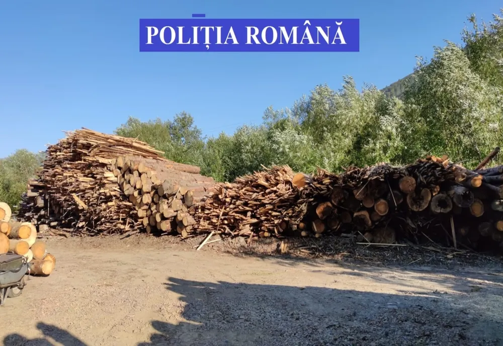 Aproape 350 de metri cubi de lemne de foc și cherestea de rășinoase, în valoare de 140.000 de lei, confiscați valoric de polițiștii bihoreni