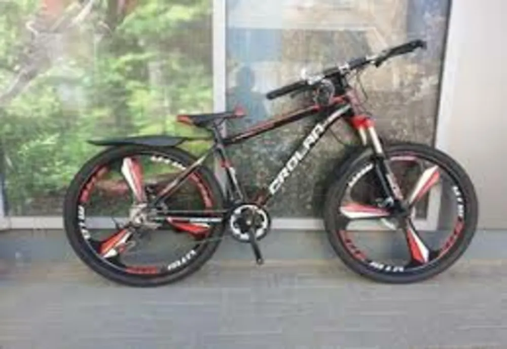 Bicicletă furată din curtea unei case din Tinca! Un suspect a fost reţinut