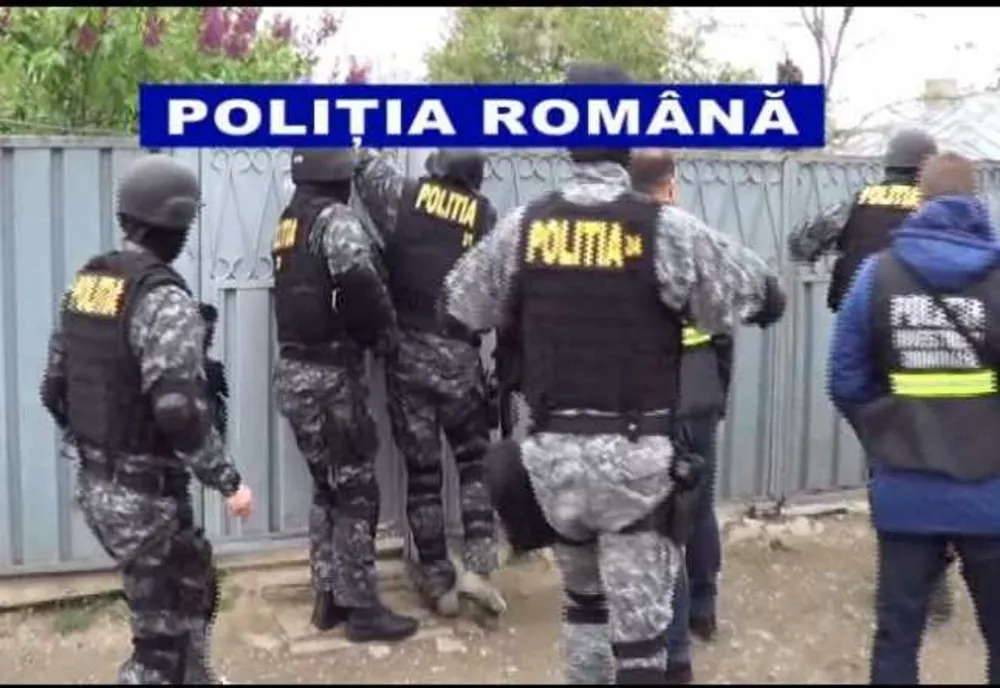 Percheziţii în Mureş, Tulcea, Constanța, Suceava şi Bihor la hoţi de lemne
