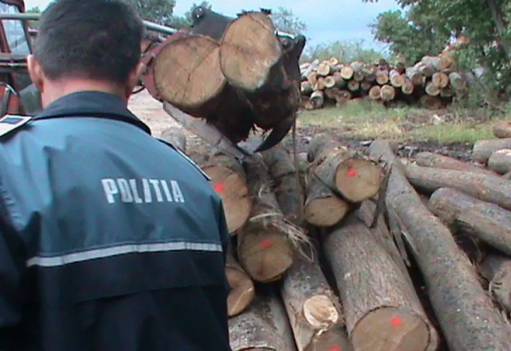 Două firme bihorene, amendate de Poliție și Garda Forestieră! Au fost lăsate și fără lemn de peste 20.000 lei