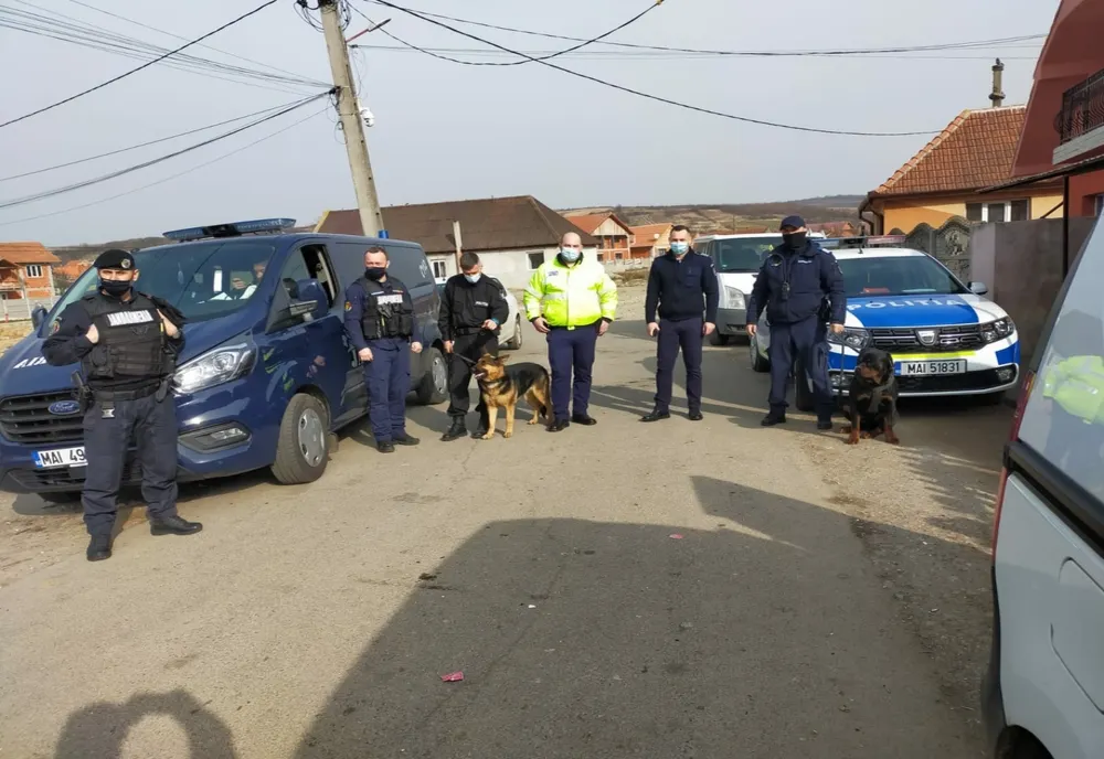 FOTO | Câinii polițiști, implicați în ampla acțiune a forțelor de aplicare a legii din Oradea