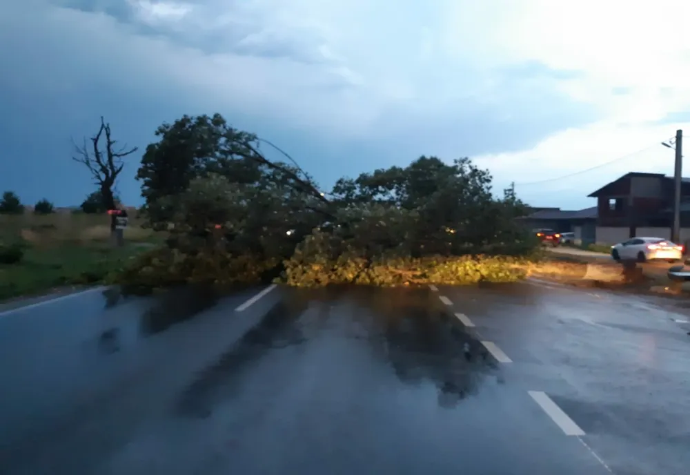 FOTO | Furtuna a creat probleme în judeţul Bihor! Pompierii au intervenit în zece localităţi