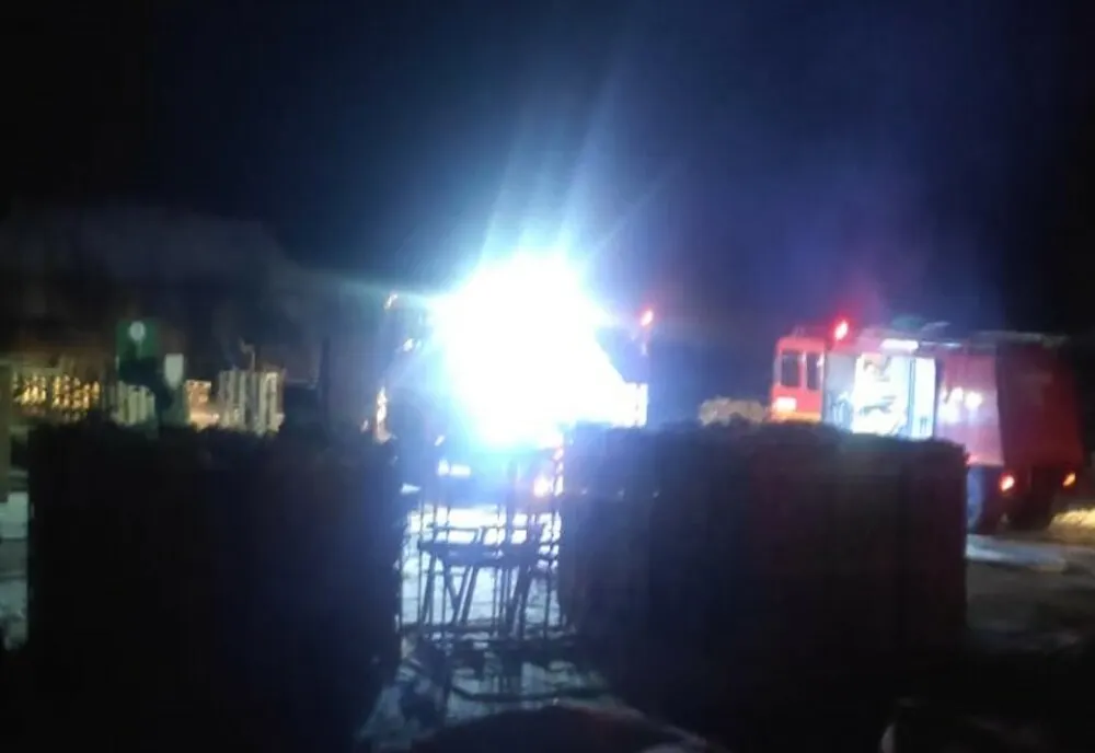 Incendiu la un depozit de material lemnos din Finiș (FOTO)