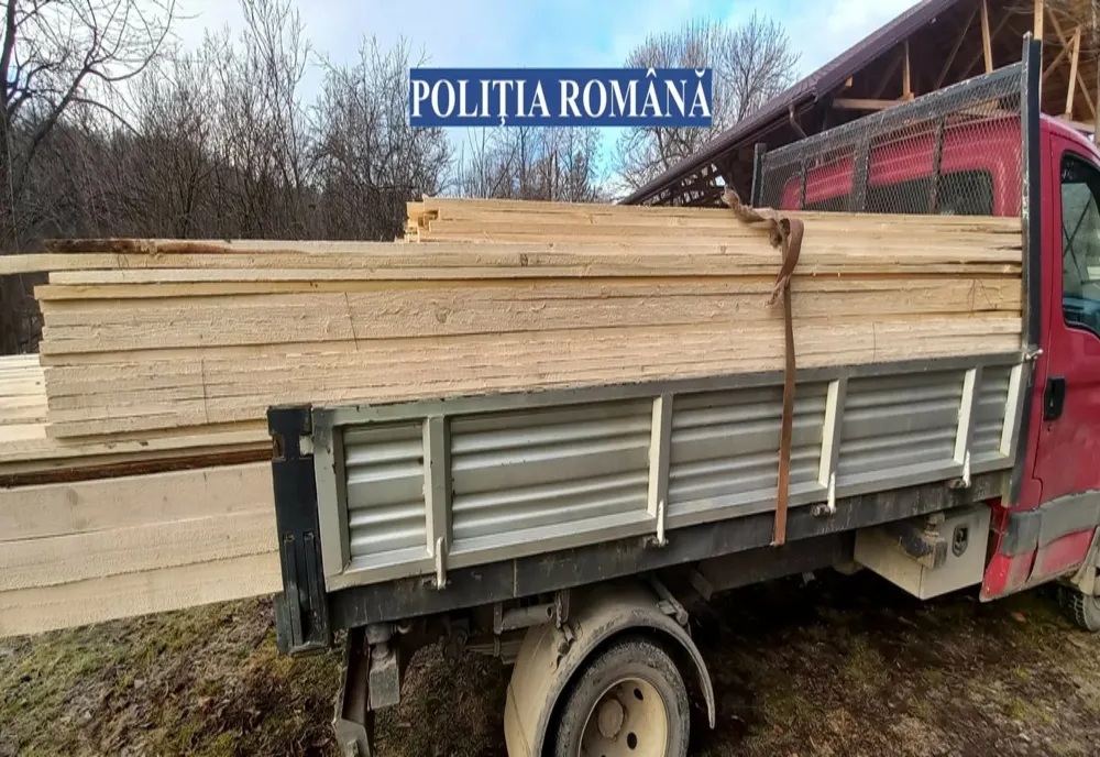 Zeci de metri cubi de material lemnos confiscaţi de poliţiştii bihoreni (FOTO)