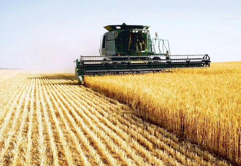 Ministrul Agriculturii, anunț de ultim moment despre prețurile la mâncare