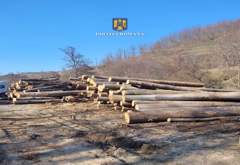 Peste 108 metri cubi de material lemnos fără forme legale, în valoare de aproape 34.181 de lei, confiscați de polițiștii bihoreni
