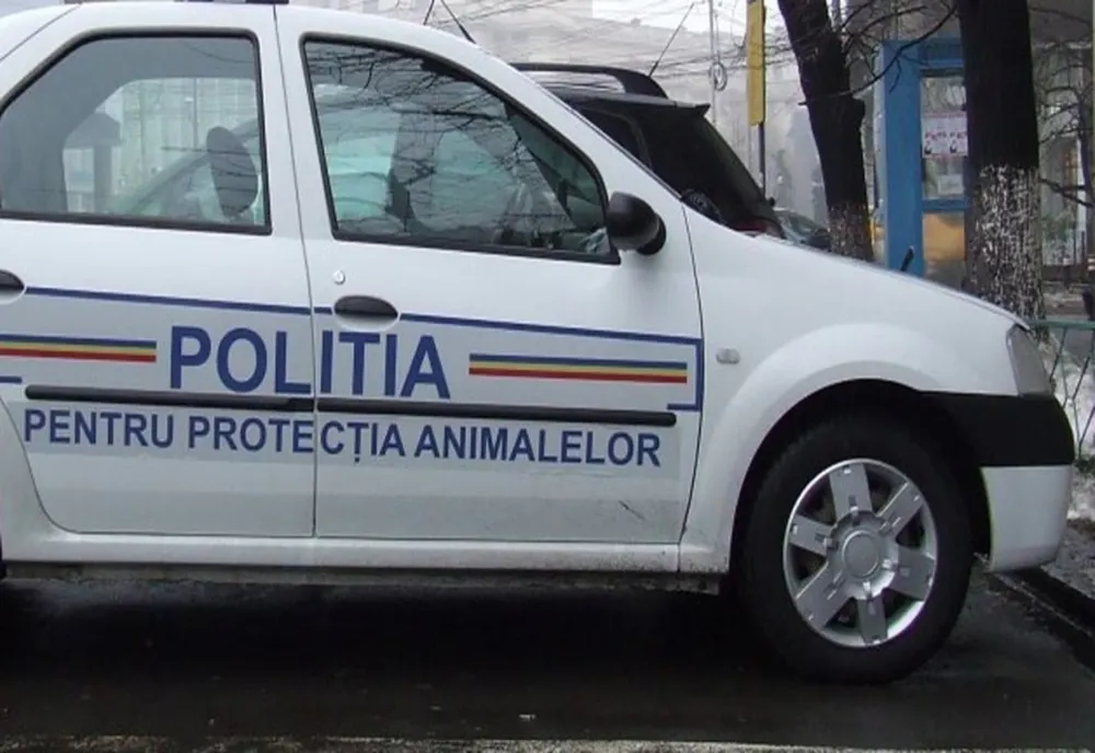 Doi tineri din Bihor, cu dosar penal, după ce au schingiuit prin înfometare 12 câini