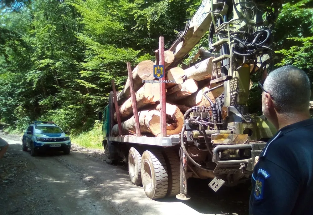 Amplă acţiune în Bihor privind furtul de lemne! Mai multe persoane au fost prinse şi amendate (FOTO)