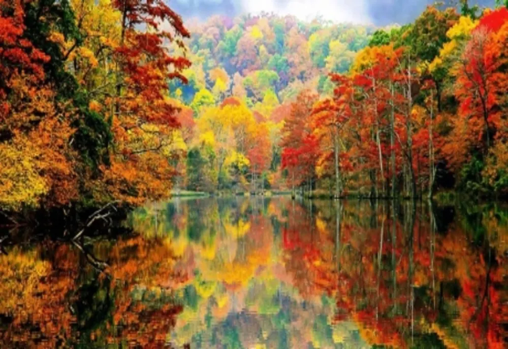 Prognoza meteo pe o lună. Temperaturi în creștere ușoară - cum va fi vremea în prima jumătate din noiembrie