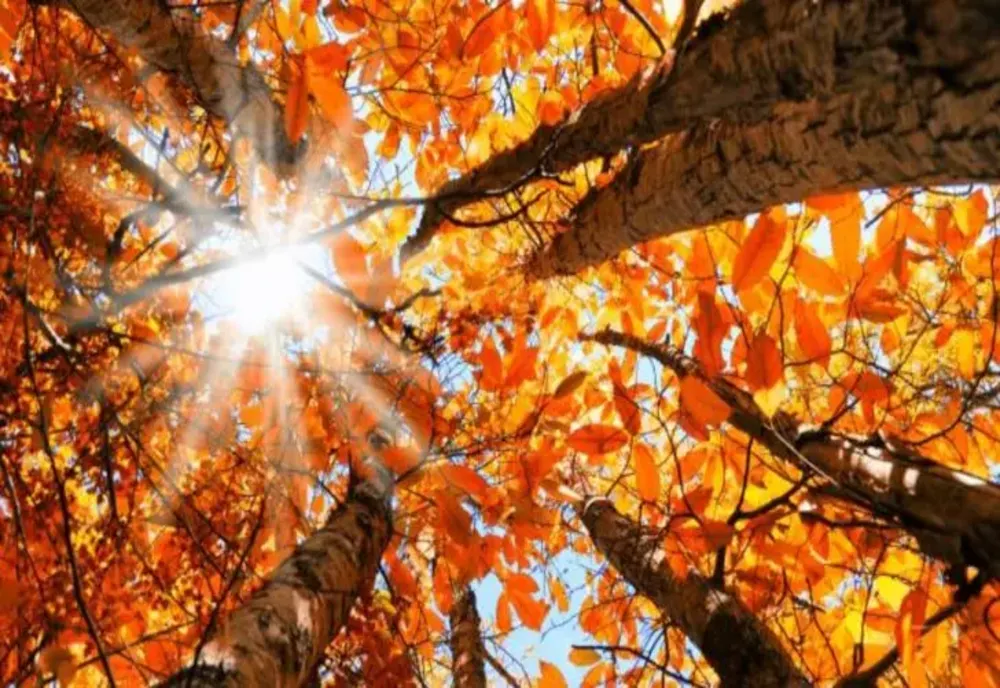 Temperaturi de vară la final de octombrie. Zonele în care valorile urcă până la 27 de grade Celsius