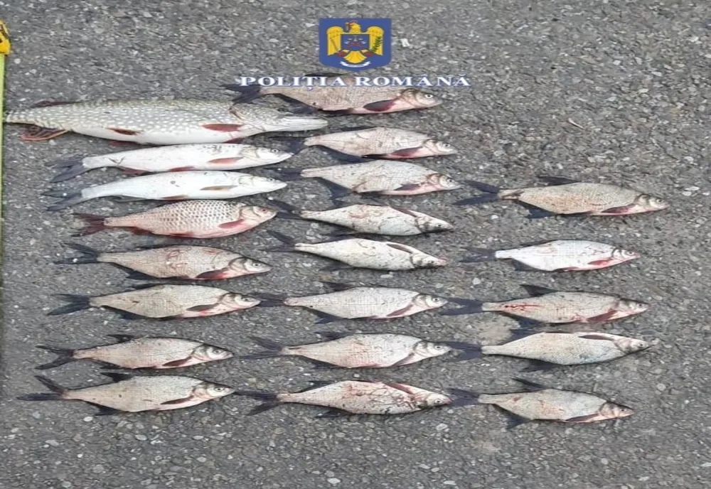 Braconieri prinşi în flagrant de poliţiştii bihoreni (FOTO)