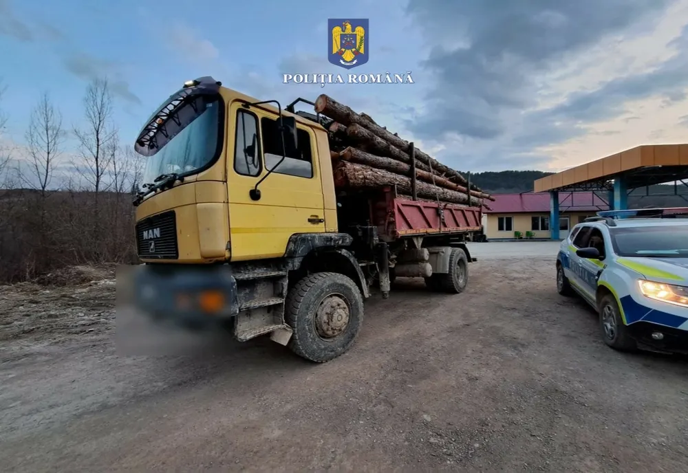 Peste 470 de metri cubi de material lemnos, fără proveniență legală, în valoare de 102.746 de lei, confiscați de polițiștii bihoreni