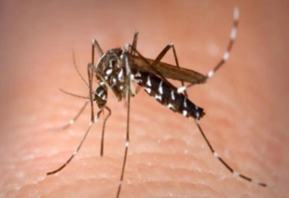 INSP: 77 DE CAZURI DE INFECŢIE CU VIRUSUL WEST NILE, DIN 3 IUNIE