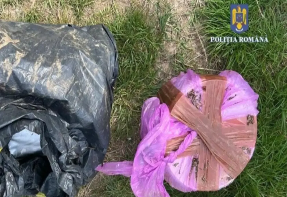REȚEA DE TRAFICANȚI DE DROGURI DESTRUCTURATĂ LA ORADEA 