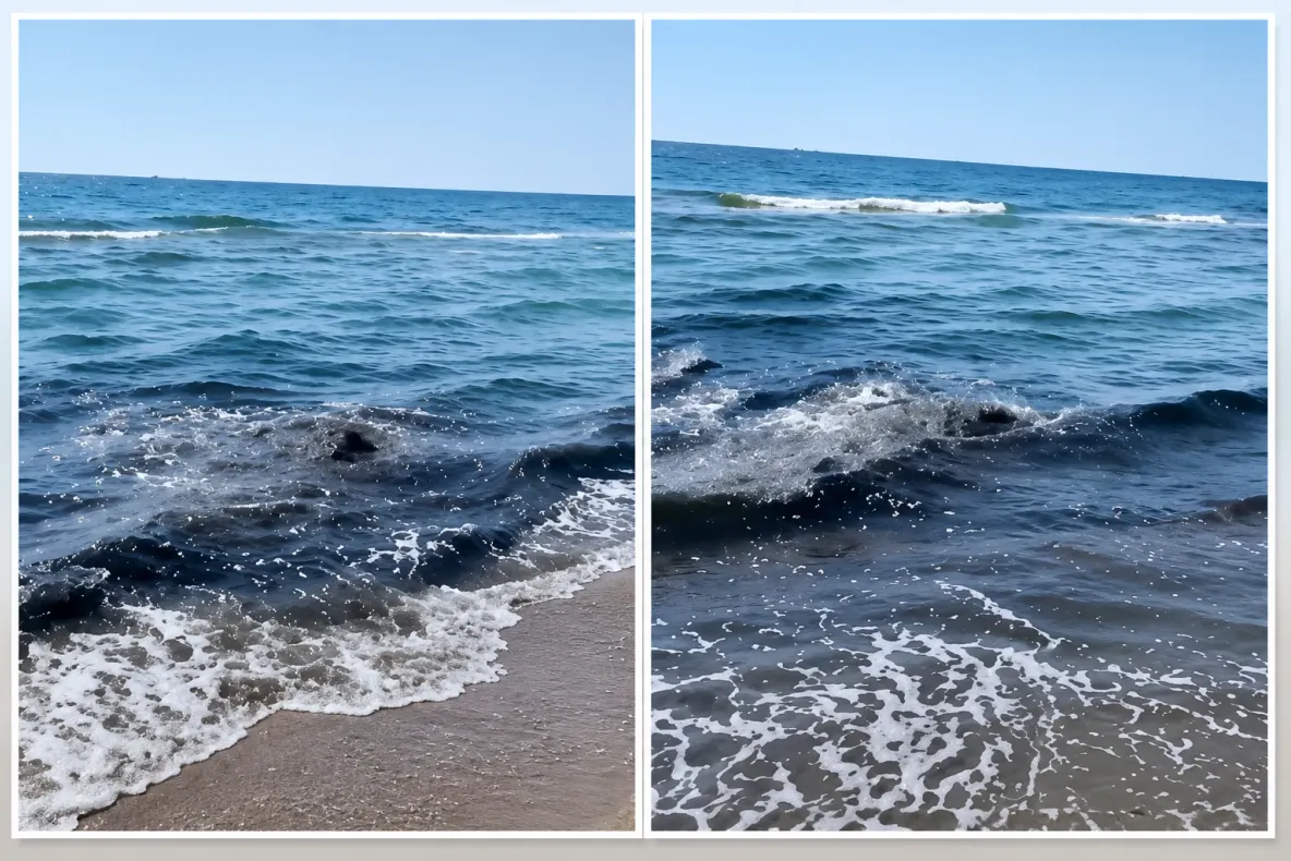 Alertă în Mamaia Nord! Apa mării s-a înnegrit, iar mirosul puternic i-a speriat pe turiști VIDEO