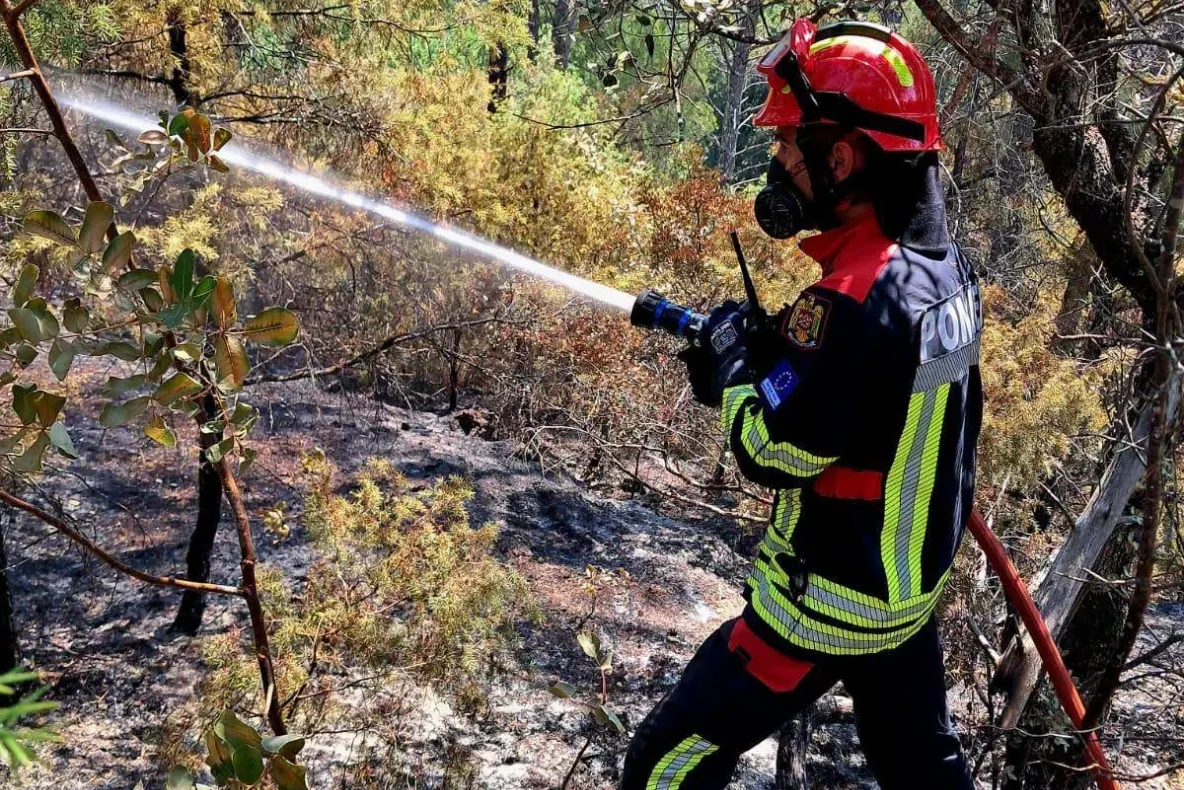 12 incendii în după-amiaza zilei de luni, în Bihor