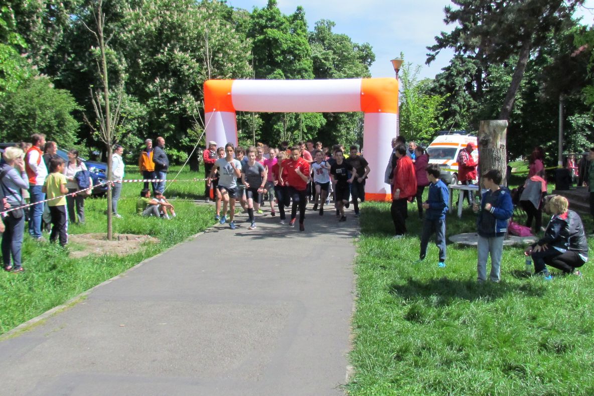 Bihorul în mişcare la fotbal, handbal şi cros