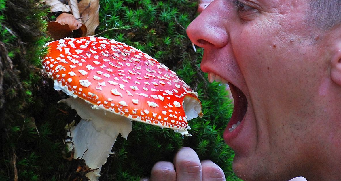 Apel urgent pentru donatori! Este nevoie de sânge B3pozitiv pentru o fată de 18 ani, după o intoxicație cu ciuperci