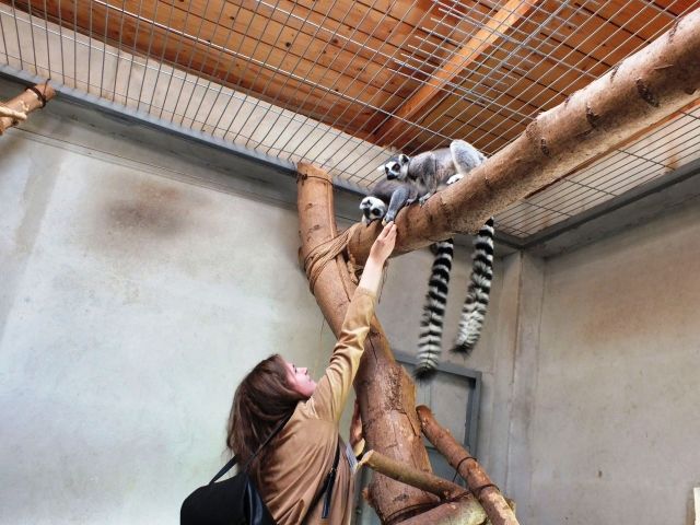 Mâine, 6 octombrie, la Zoo Oradea se sărbătorește Ziua Părinților Adoptivi