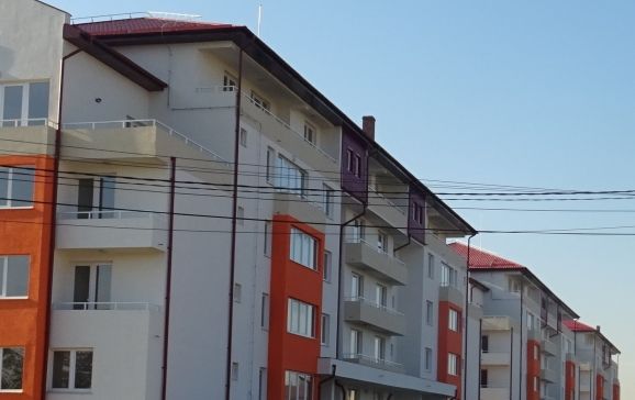 Arbori plantați pe calea Aradului