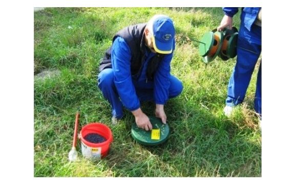 Lucrări de deratizare în Oradea, în perioada 27-28 noiembrie 2018