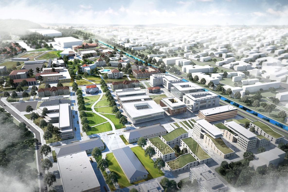 Președintele Senatului Universității din Oradea blochează parteneriatul cu Primăria Oradea