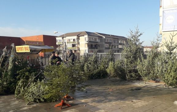 A început comercializarea brazilor în Oradea