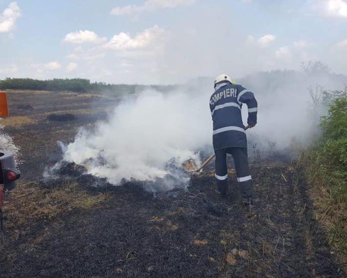 Apelul pompierilor bihoreni către populație: opriți acțiunile de igienizare a terenurilor prin ardere!