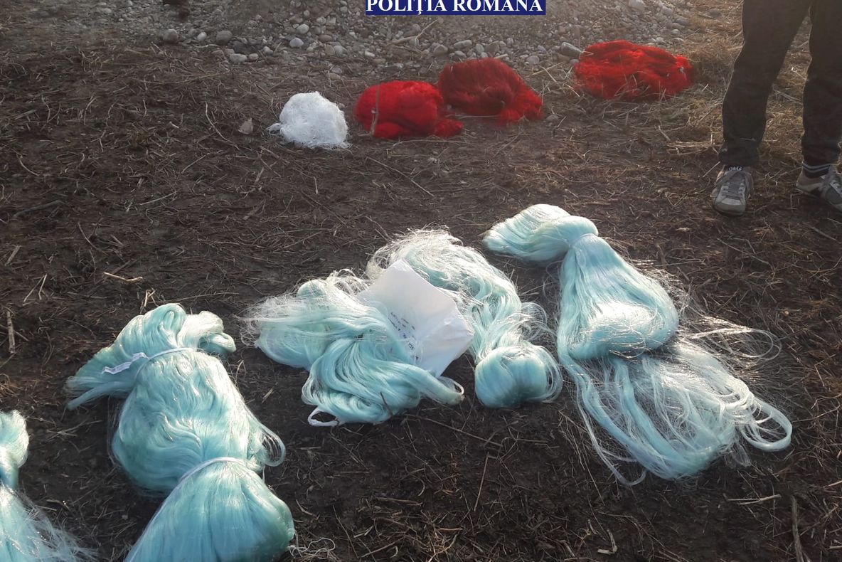 300 de arbori au fost plantați în Oradea în cadrul campaniei de plantări de primăvară