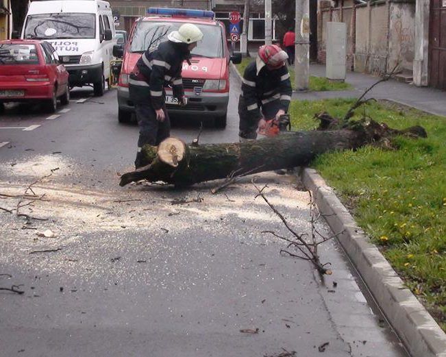 Recomandările pompierilor militari pentru evitarea situațiilor de urgență generate de vântul puternic!