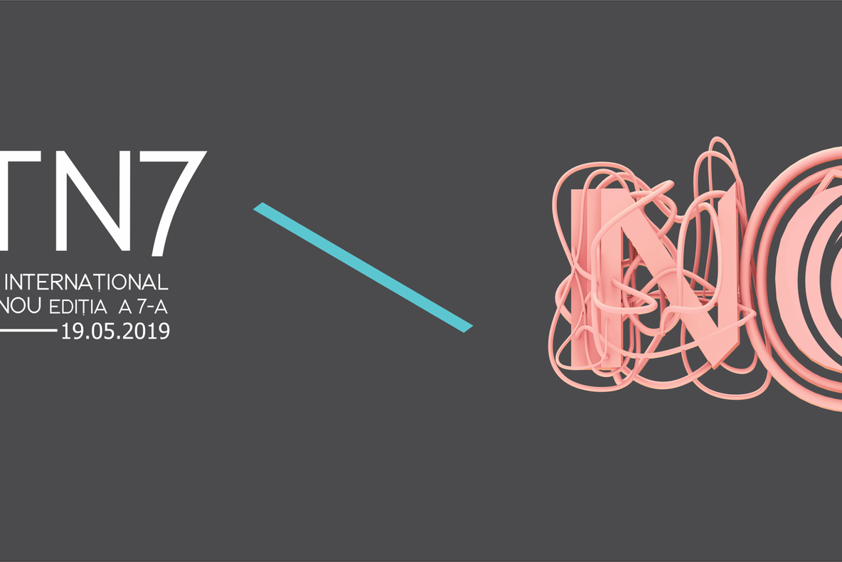 Festivalul internațional de teatru nou Arad