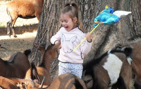 Sâmbătă, 11 mai 2019 - Ziua Părinților Adoptivi la Zoo Oradea