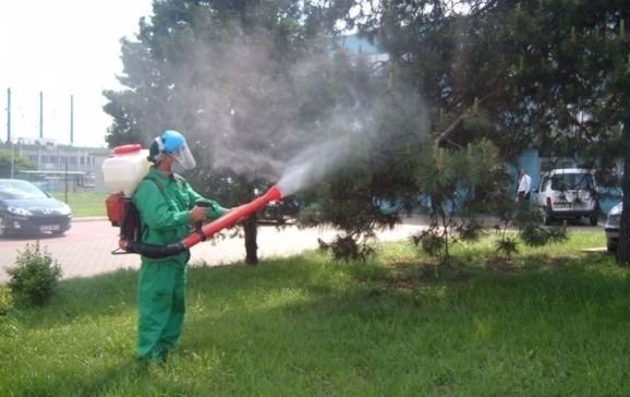 Primăria solicită deținătorilor de terenuri să efectueze operațiunea de dezinsecție în perioada 27 – 29 iunie, concomitent cu procedura de dezinsecție din zonele publice