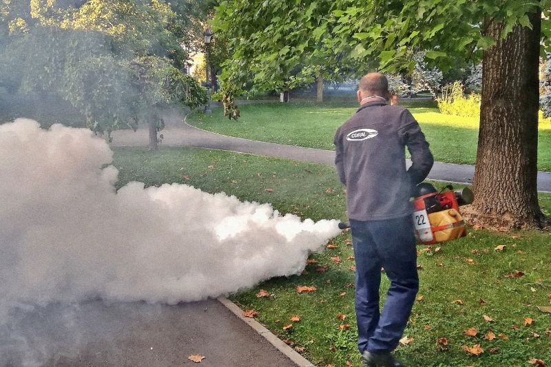 Se efectuează a III-a etapă de dezinsecție în Oradea