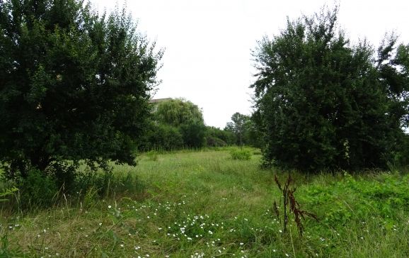 Un nou parc de cartier va fi amenajat în zona străzii Morii