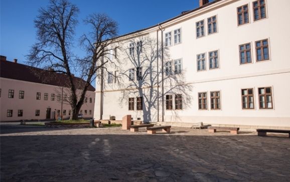 Muzeele orașului Oradea pot fi vizitate în mod gratuit sâmbătă