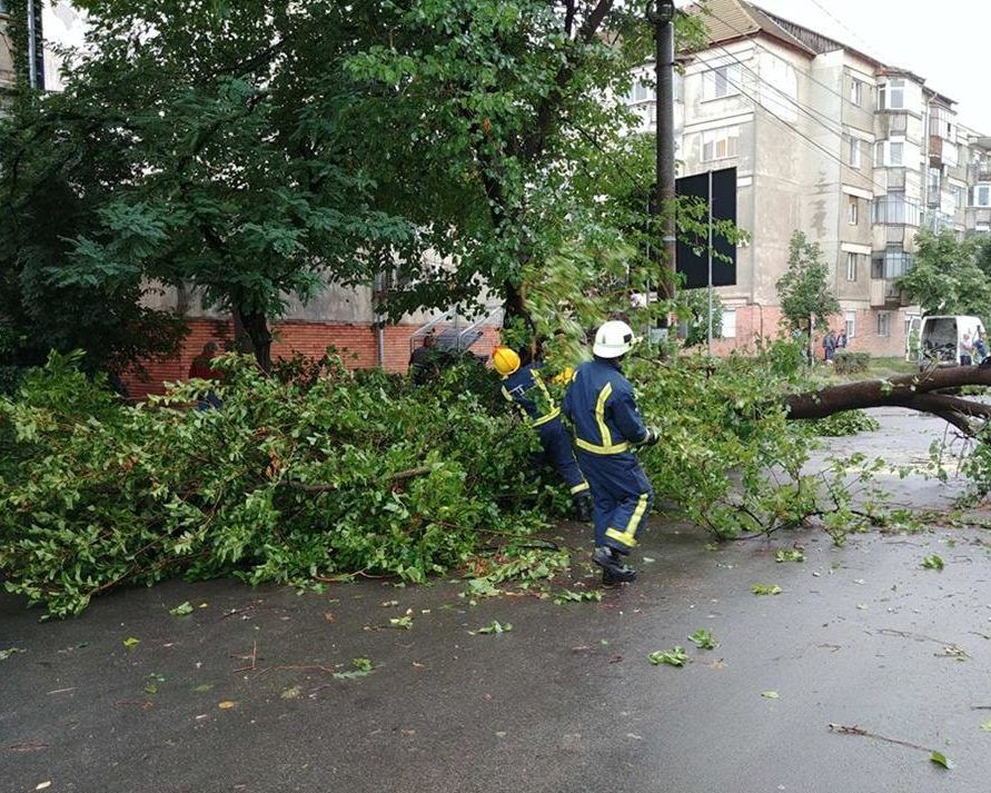 Recomandările pompierilor militari pentru evitarea situațiilor de urgență generate de vântul puternic