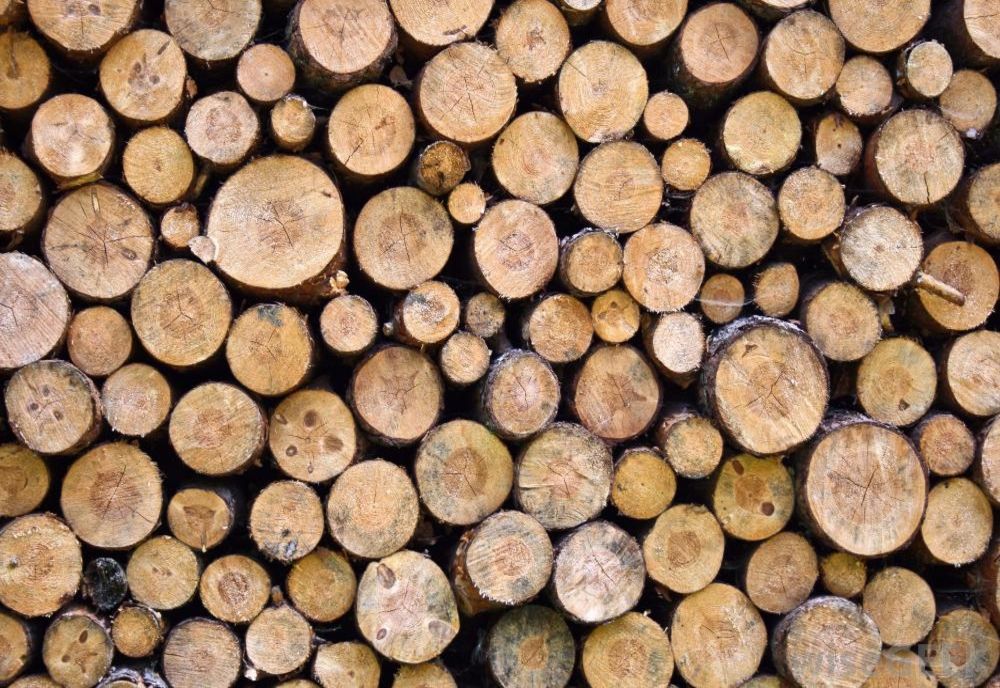 Transporturi de lemne fără acte depistate de polițiștii bihoreni